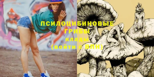 ГАЛЛЮЦИНОГЕННЫЕ ГРИБЫ Абдулино