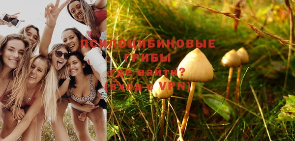 амф Абаза