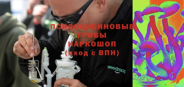 ГАЛЛЮЦИНОГЕННЫЕ ГРИБЫ Абдулино