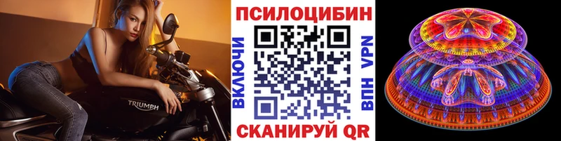 сколько стоит  блэк спрут tor  Псилоцибиновые грибы Psilocybe  Каменка 
